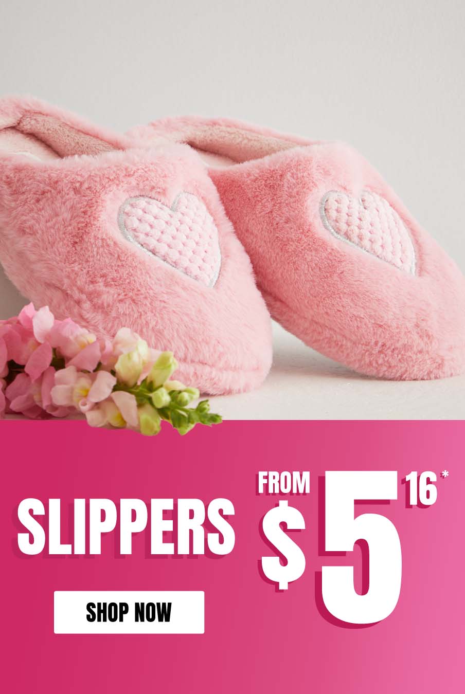 Shop Slippers!